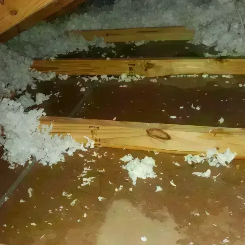 Attic Water Damage in Parker, SC