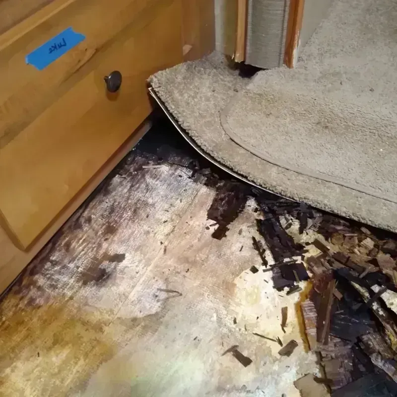 Wood Floor Water Damage in Parker, SC